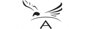 Etruriallarmi Cortona
